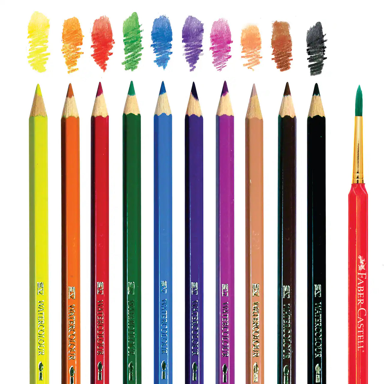 Step by Step Watercolor Pencil