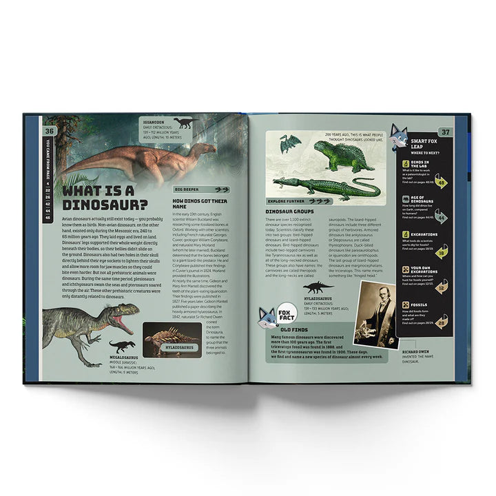 Dinosaurs Smart Fox Hardcover