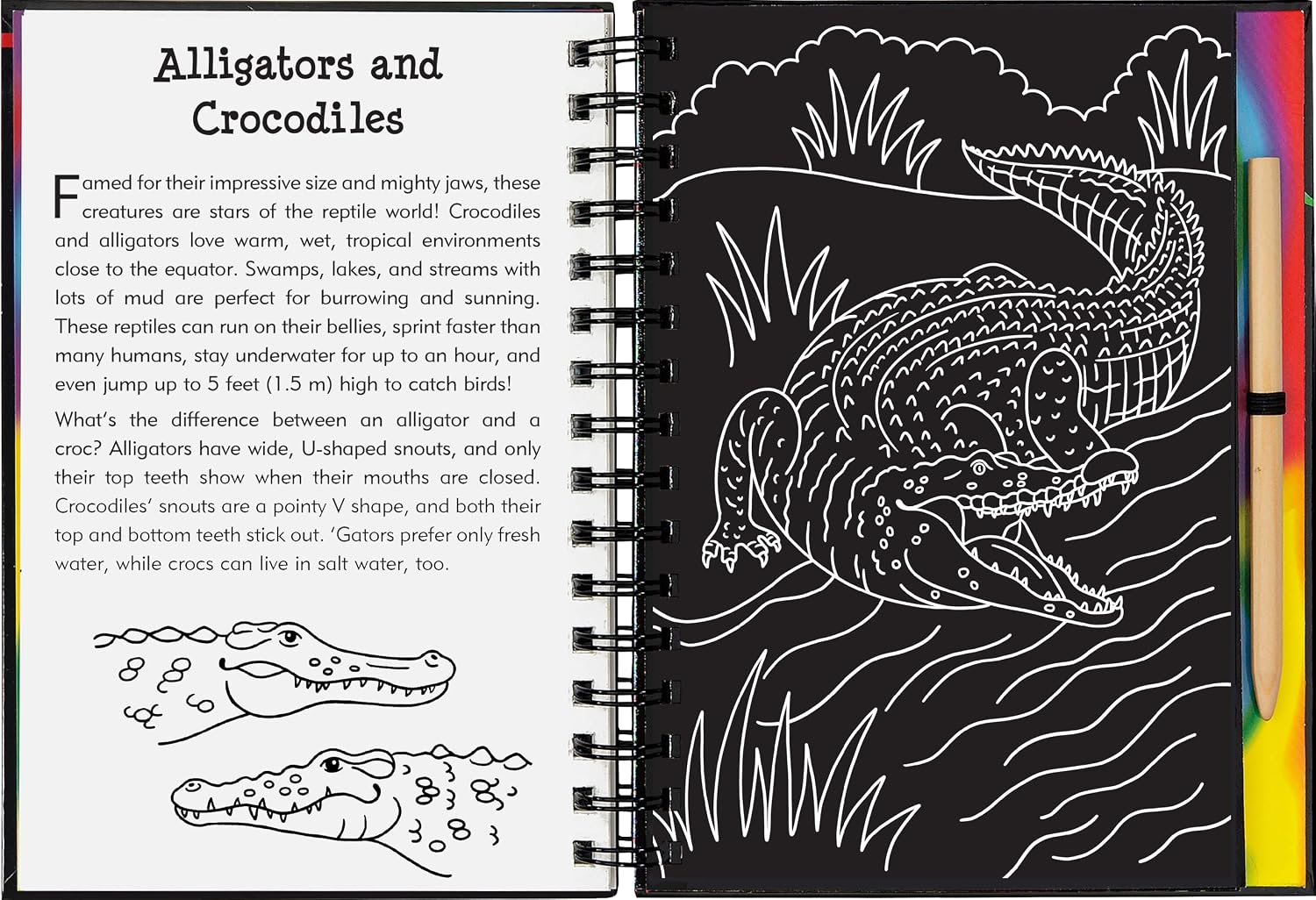 Reptiles & Amphibians S/s