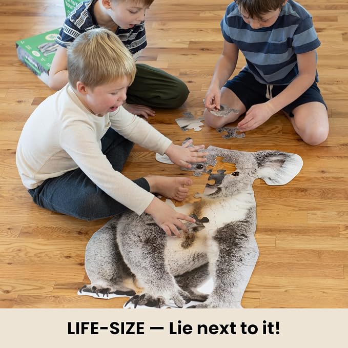 Koala Trivia Puzzle