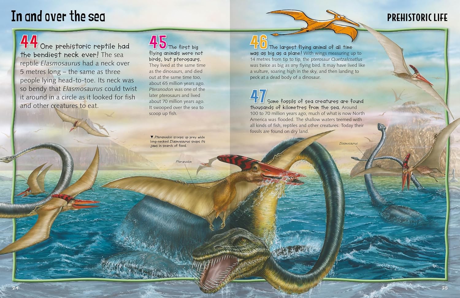 Wild About Reading - Dinosaur