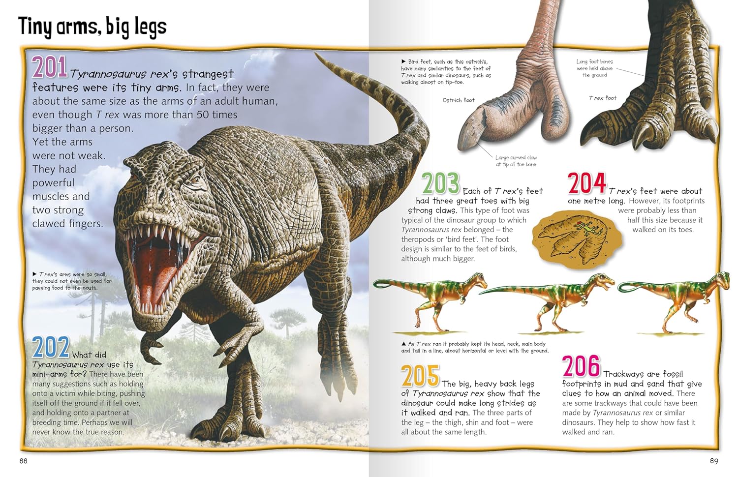 Wild About Reading - Dinosaur