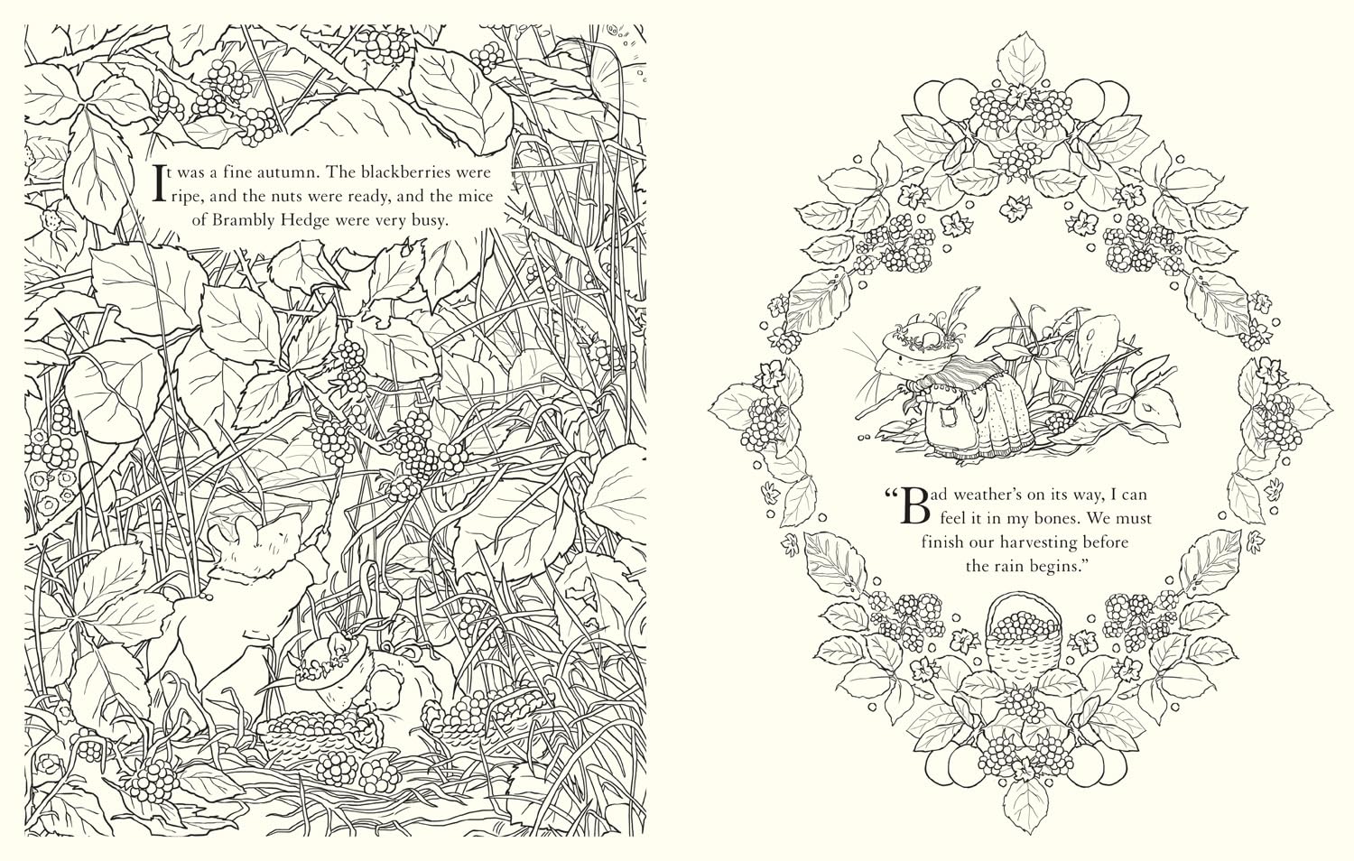 Brambly Hedge Festive Coloring