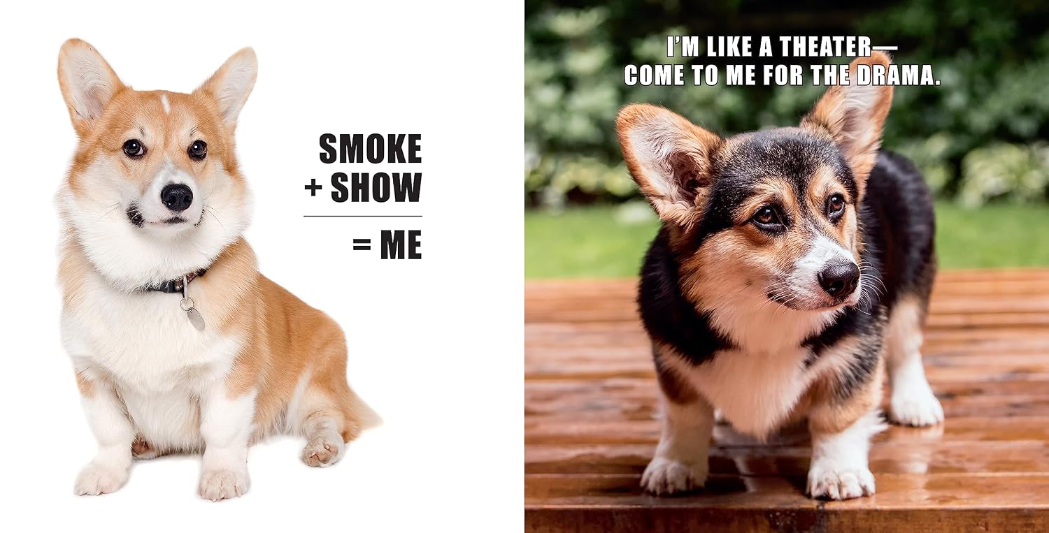 No Thoughts Just Corgis: A Comprehensive Compendium of Cuteness