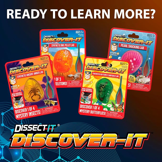 Discover it Owl Pellet Lab