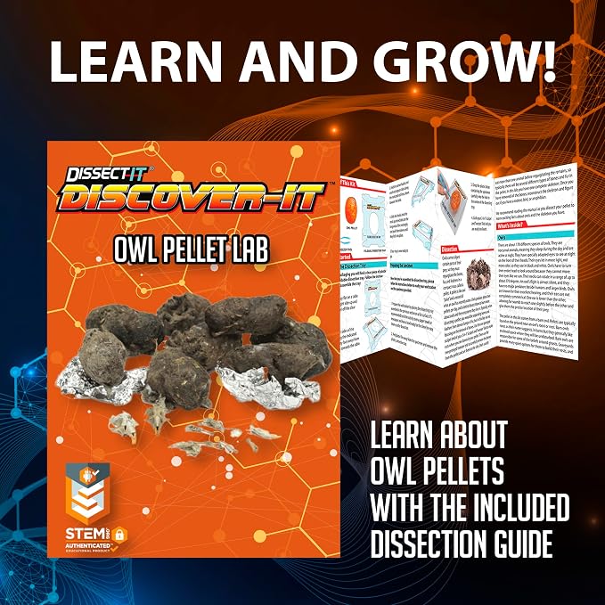 Discover it Owl Pellet Lab
