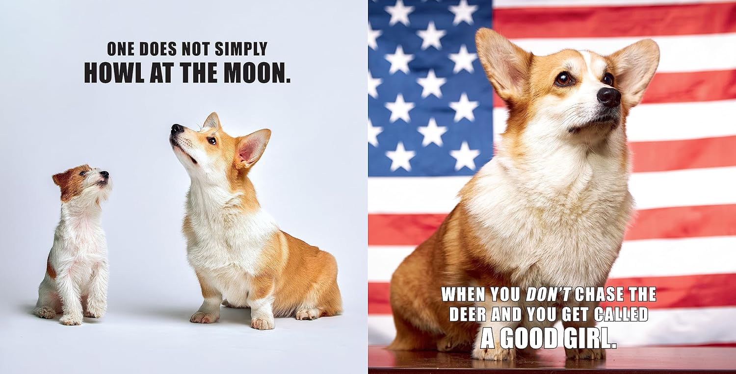 No Thoughts Just Corgis: A Comprehensive Compendium of Cuteness