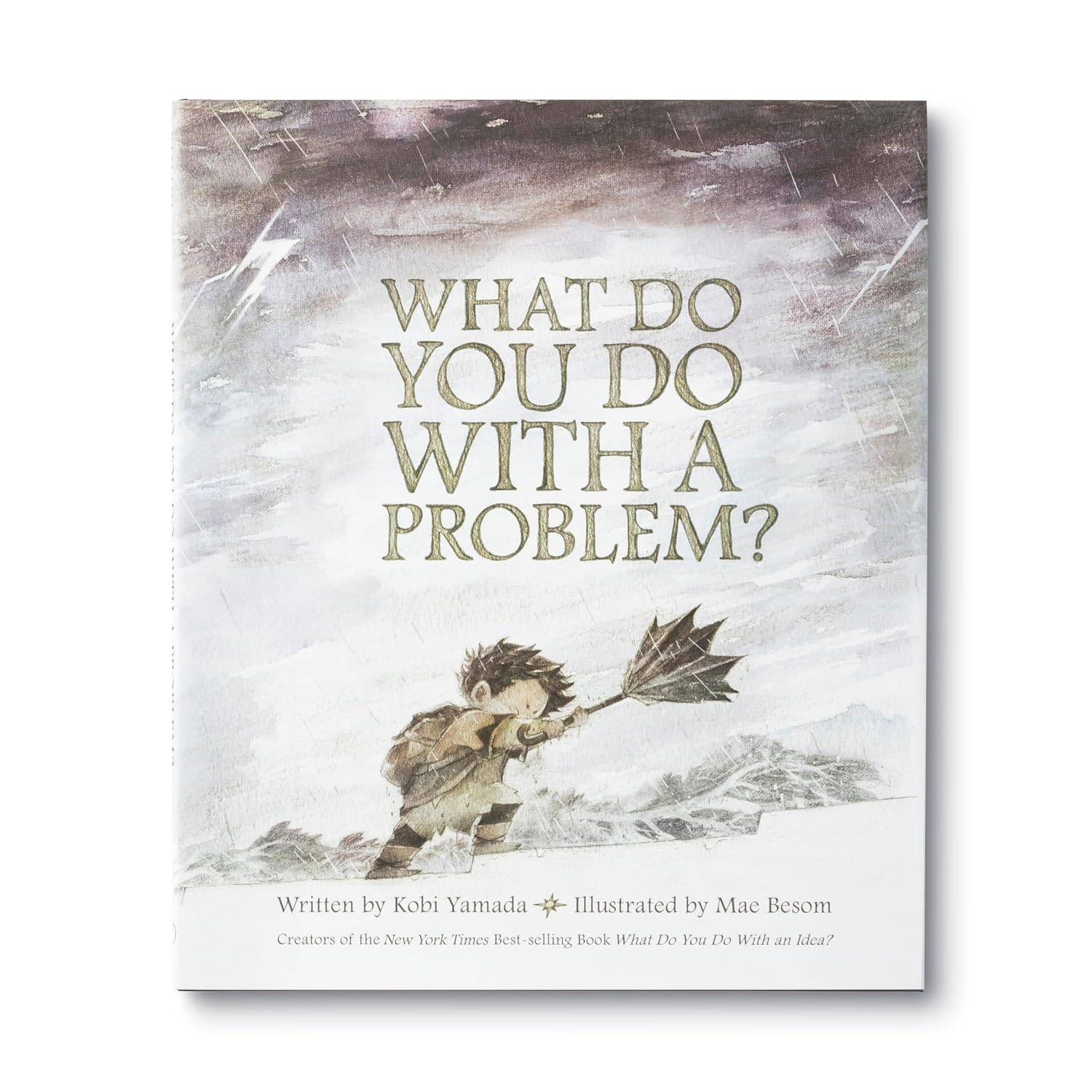 What Do You Do with A Problem?