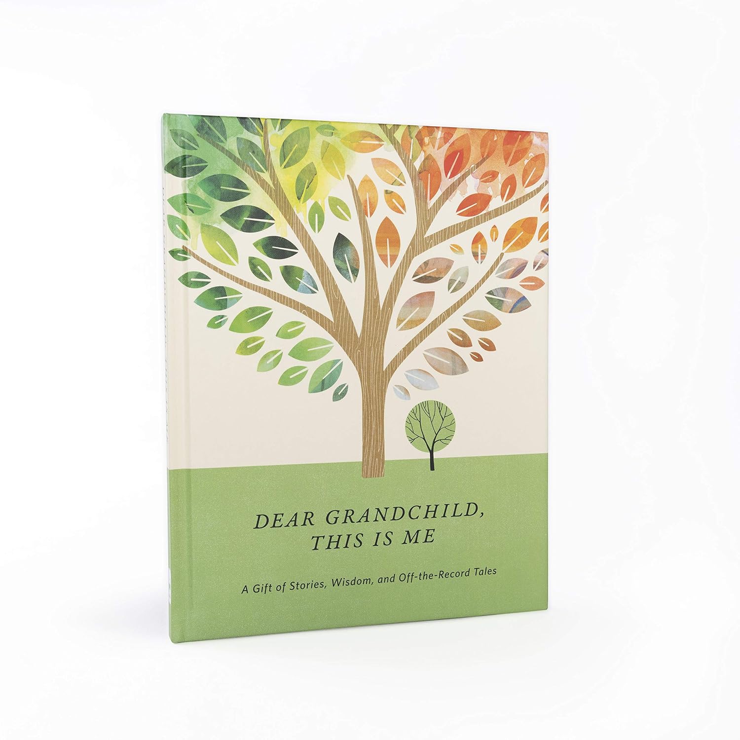 Dear Grandchild, This Is Me: A Gift of Stories, Wisdom, and Off-the-Record Tales