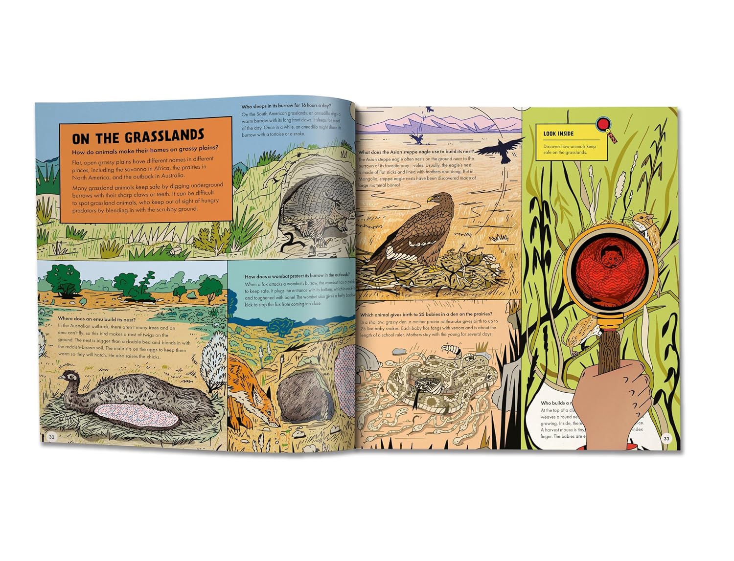 Marvelous Animal Homes
