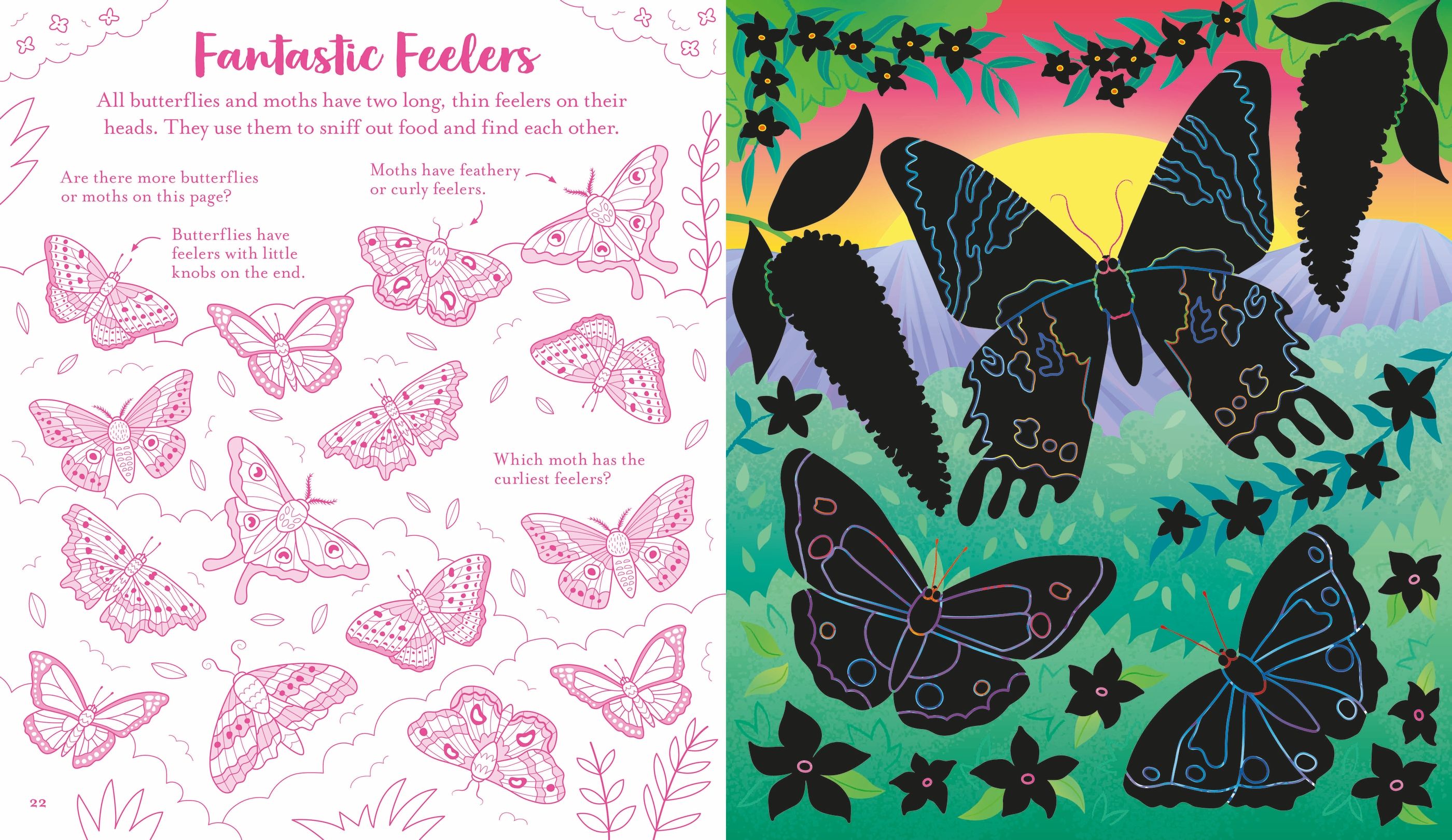 Usborne Scratch Activities Butterflies