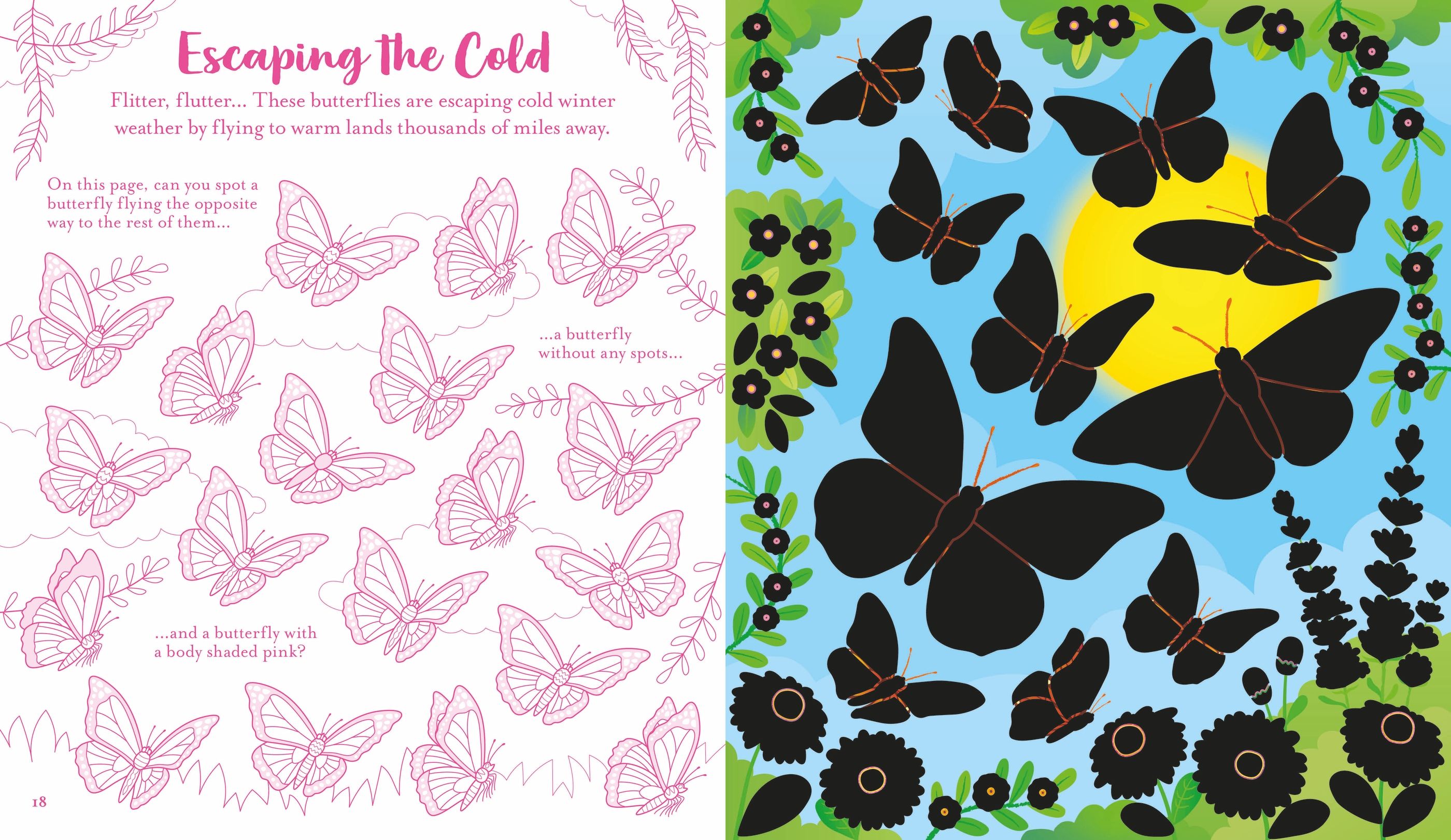 Usborne Scratch Activities Butterflies