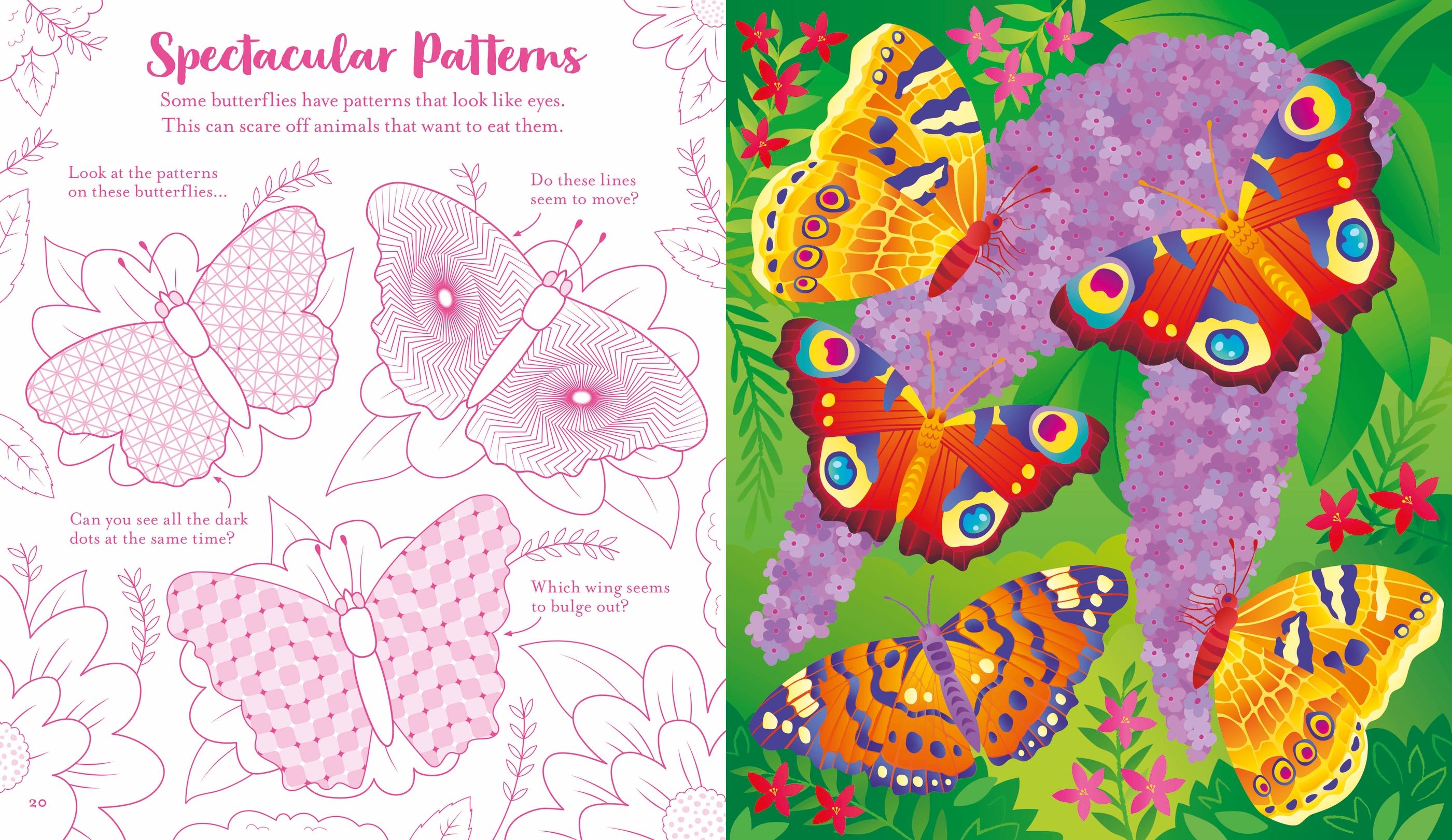 Usborne Scratch Activities Butterflies