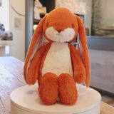 Sweet Nibble Bunny Carrot