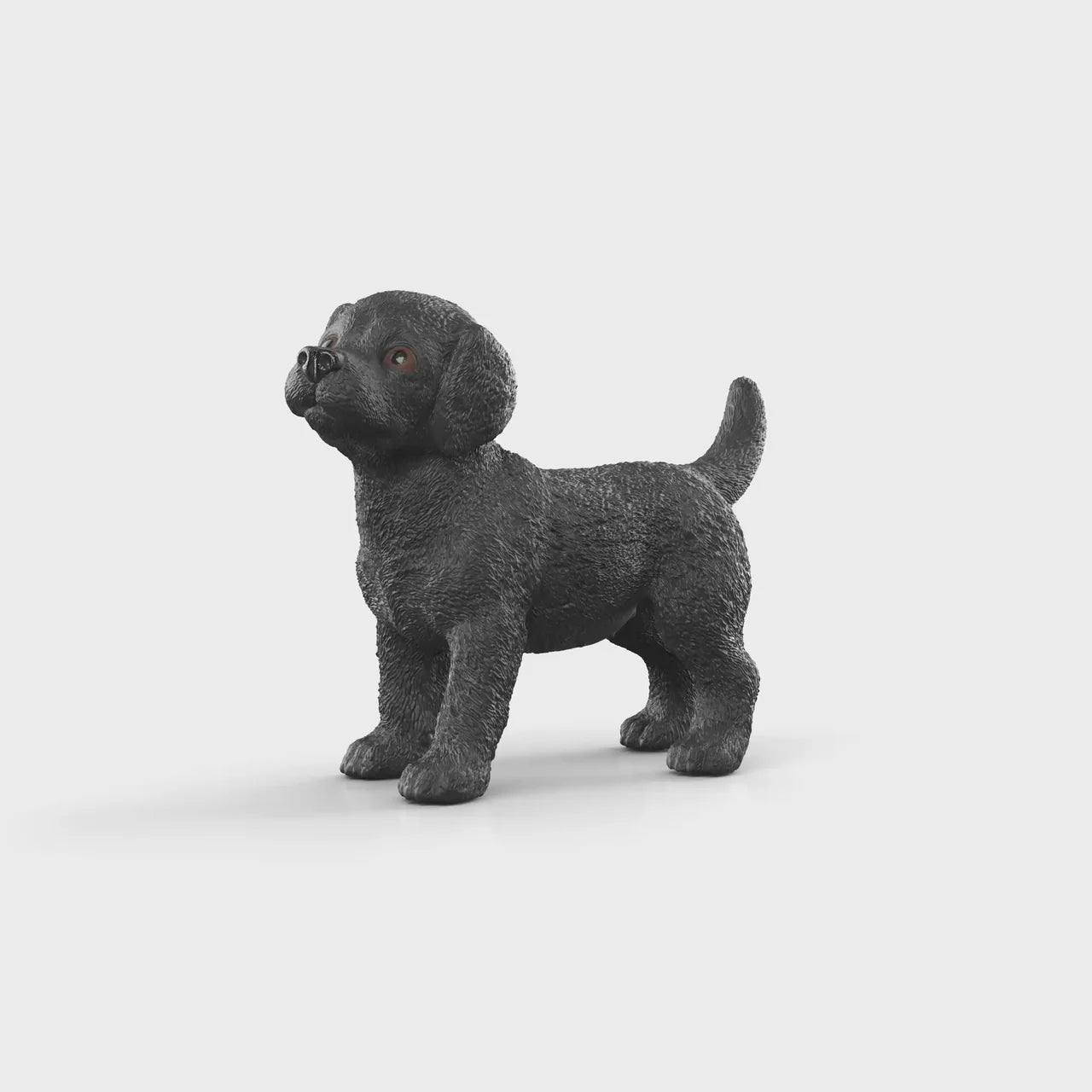 Black Labrador Retriever Puppy