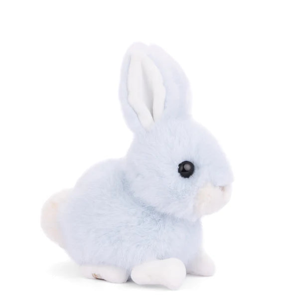 Baby Bunny - Heaven Blue