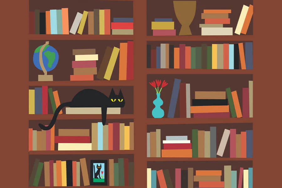 Bookshelf Micropuzzle