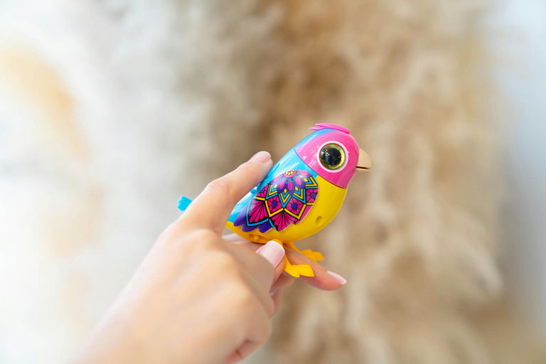 DigiBirds - Single Pack Asst