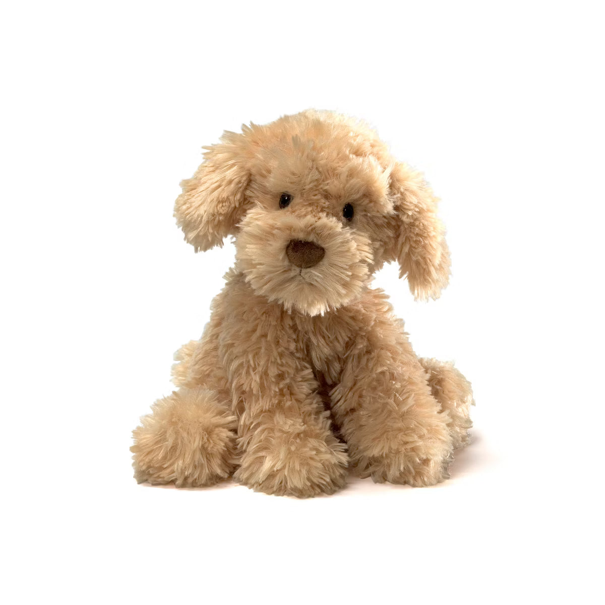 Nayla Cockapoo
