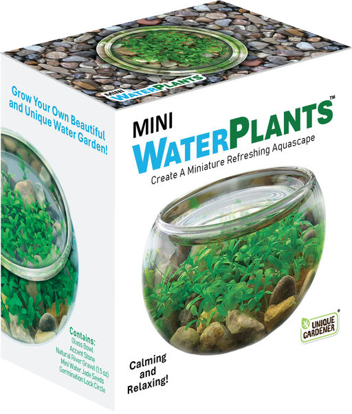 Mini WaterPlants - Create A Miniature Aquascape