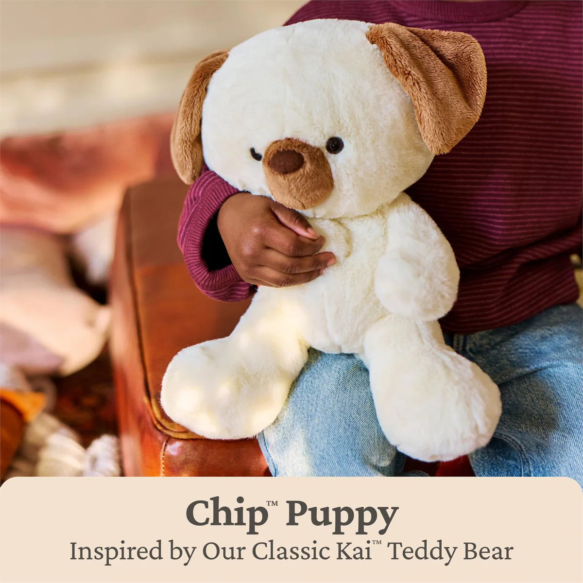 Kai and Friends Chip the Dog 10 Inch
