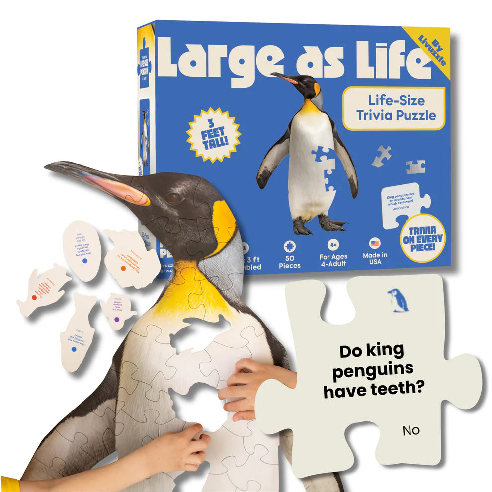 Large as Life King Penguin