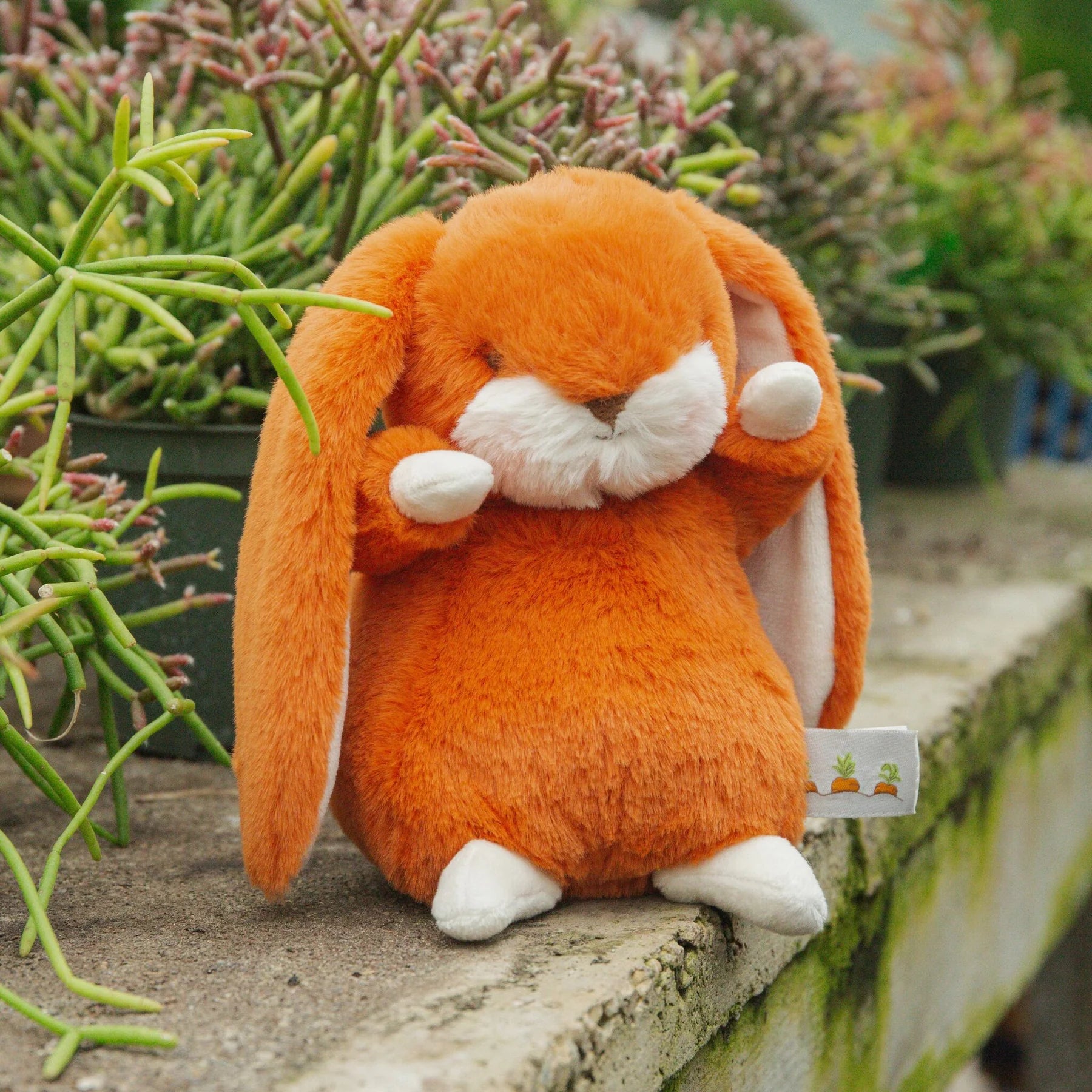 Tiny Nibble Bunny Carrot
