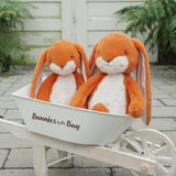 Sweet Nibble Bunny Carrot
