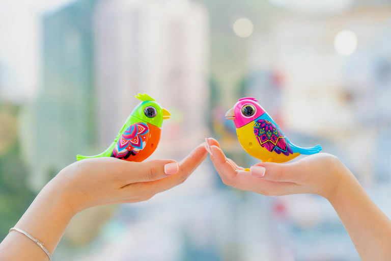 DigiBirds - Single Pack Asst