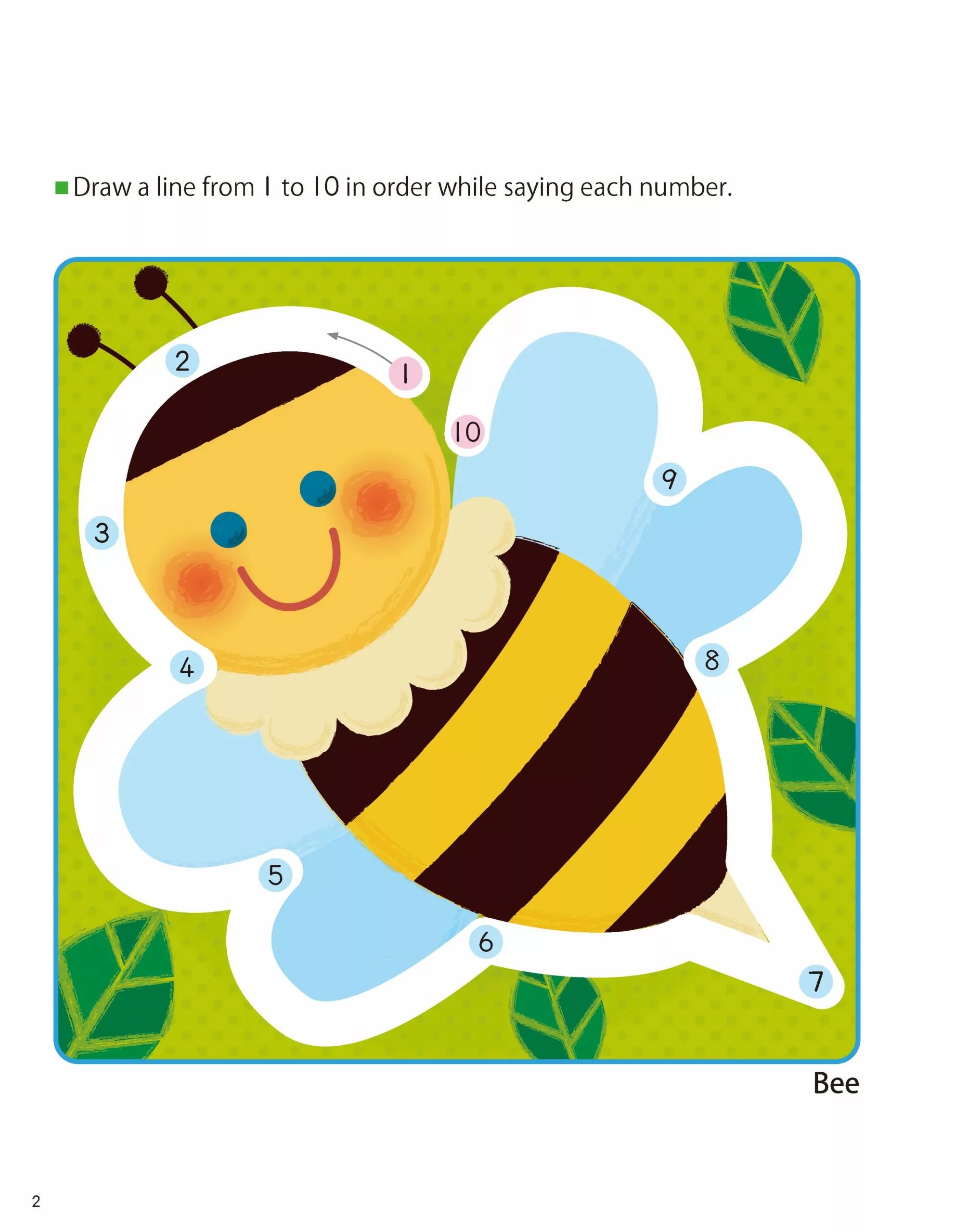 Book of Numbers 1-30 - New
