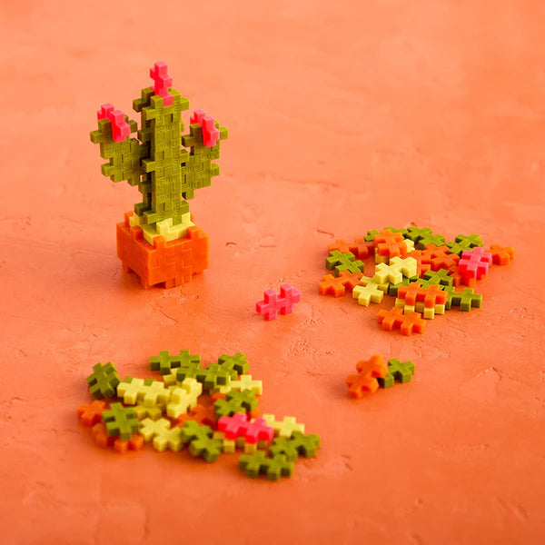 Calm Cactus Plant Packet