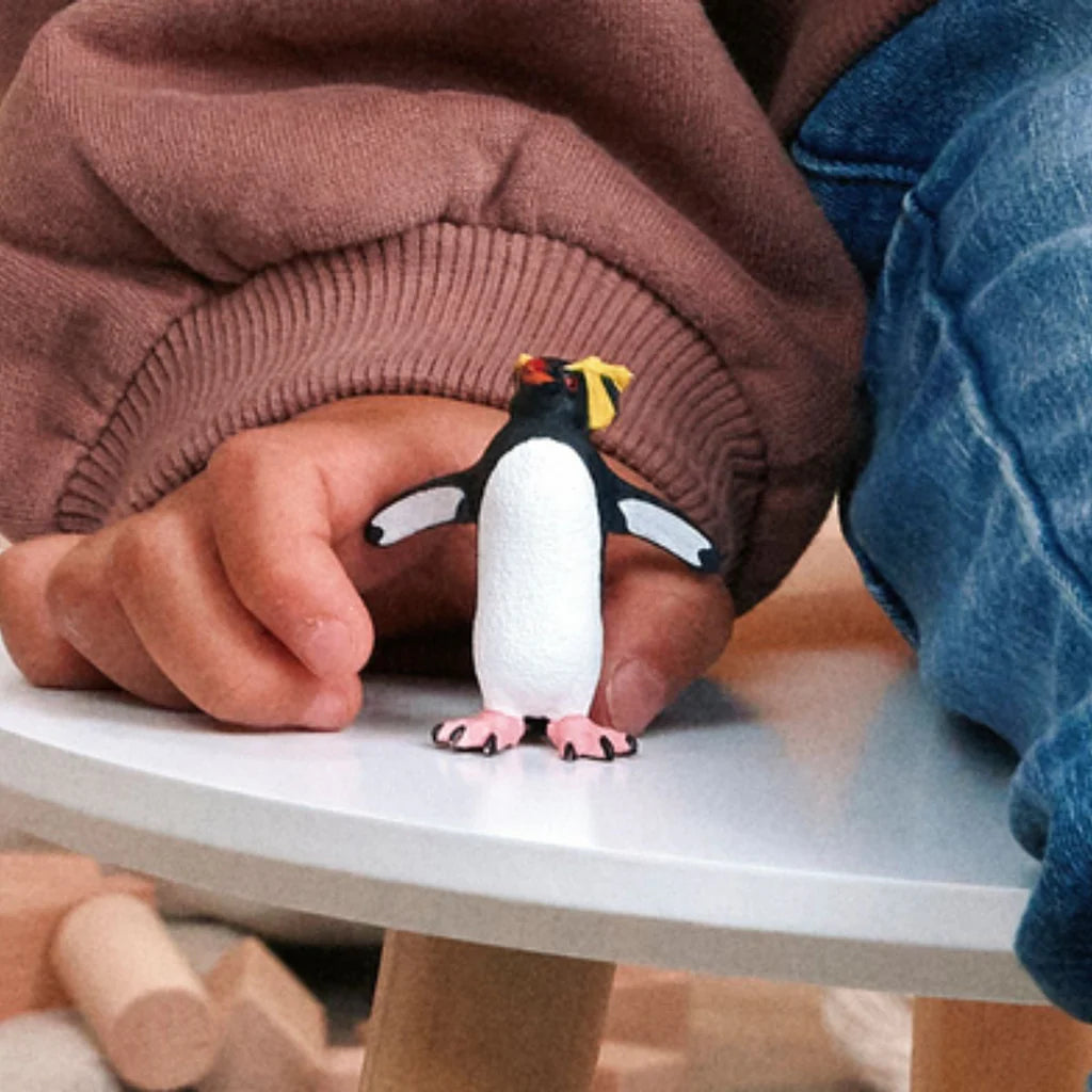 Rockhopper Penguin