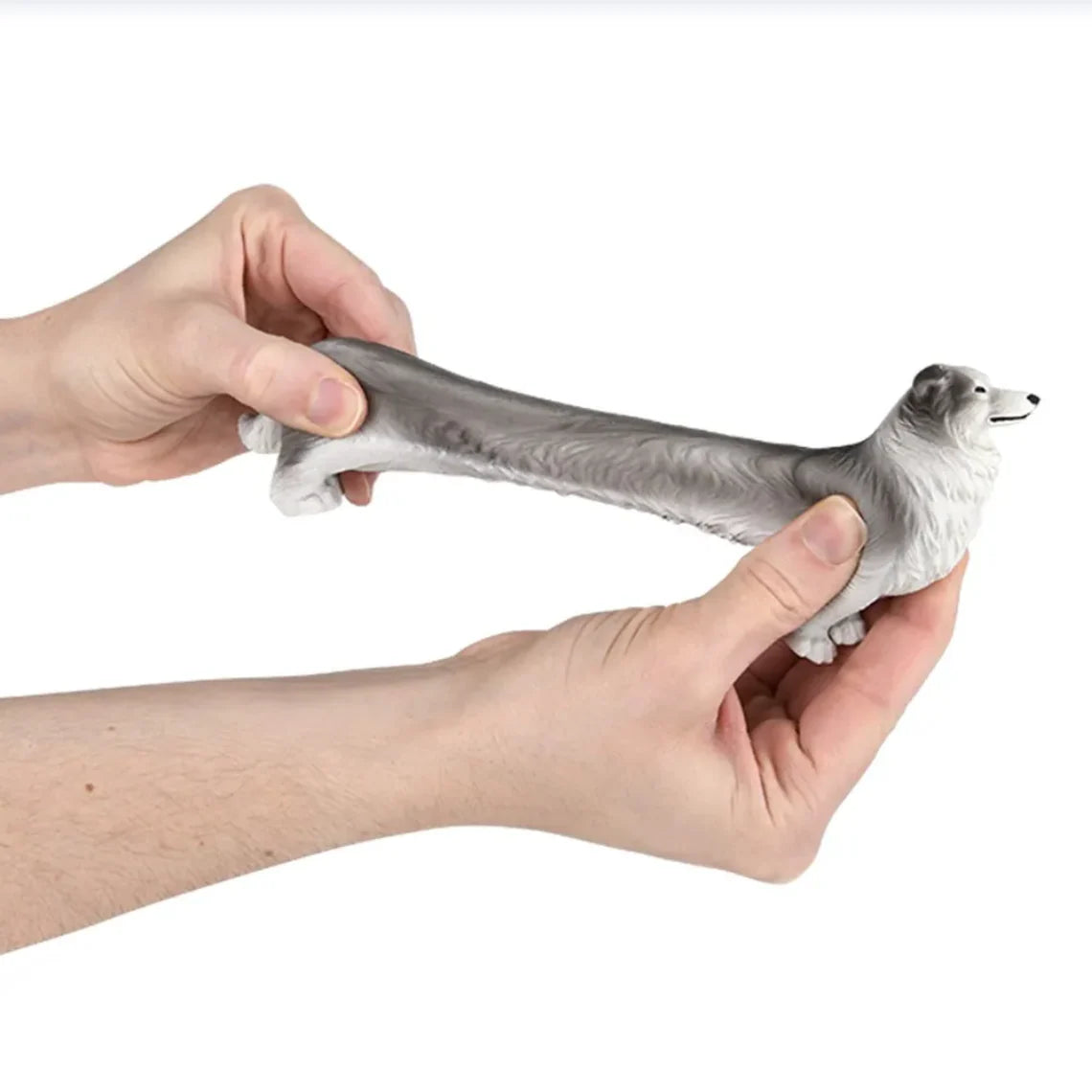 Stretchy Collie 5.25" (assorted)