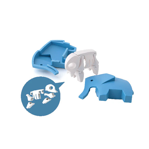 Animal Elephant