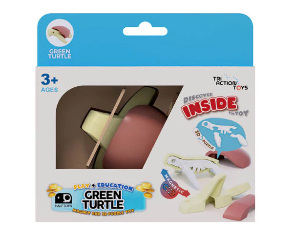 Ocean Green Turtle