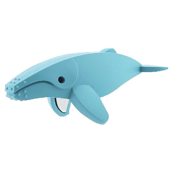 Ocean Humpback Whale