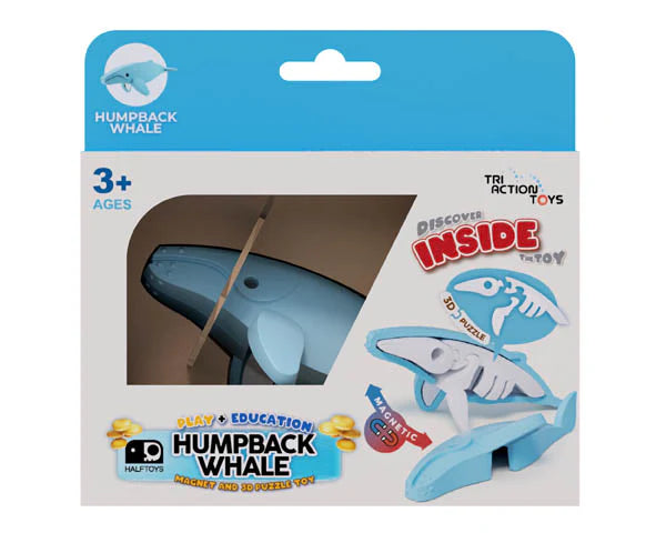 Ocean Humpback Whale