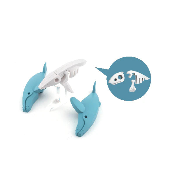 Ocean Humpback Whale