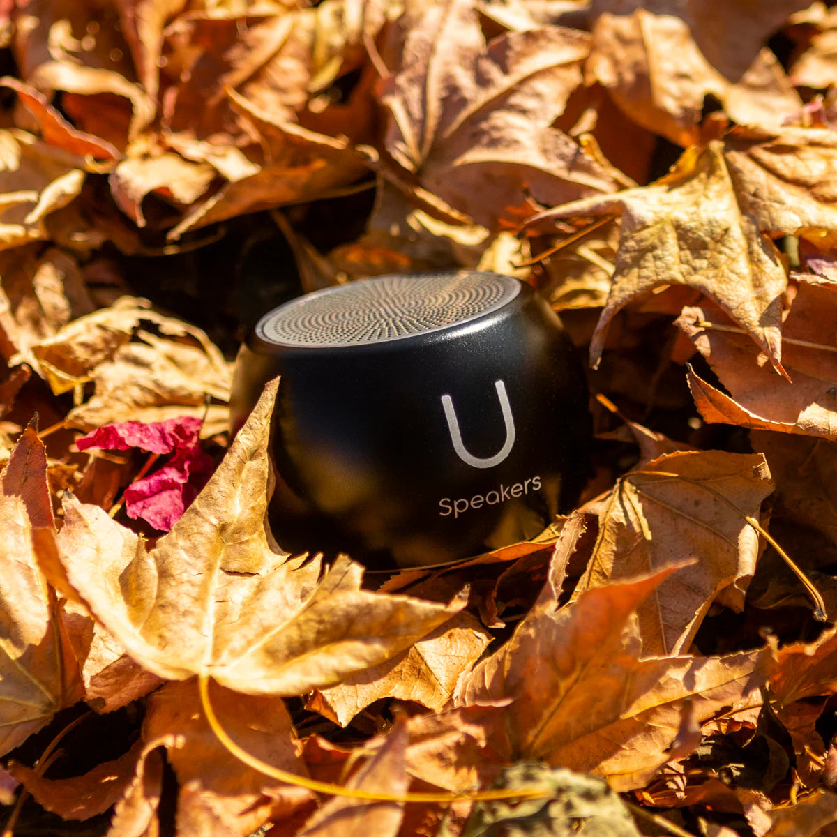 U Speaker Black