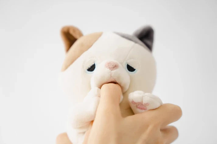 Amagami Ham Ham - Yuzu/Calico Cat