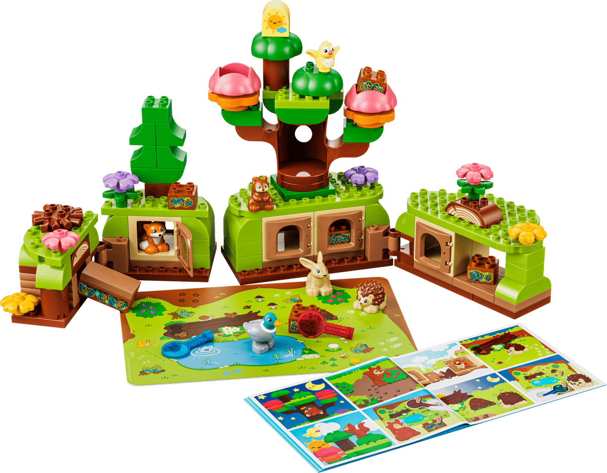 Discovery Forest with Wild Animals