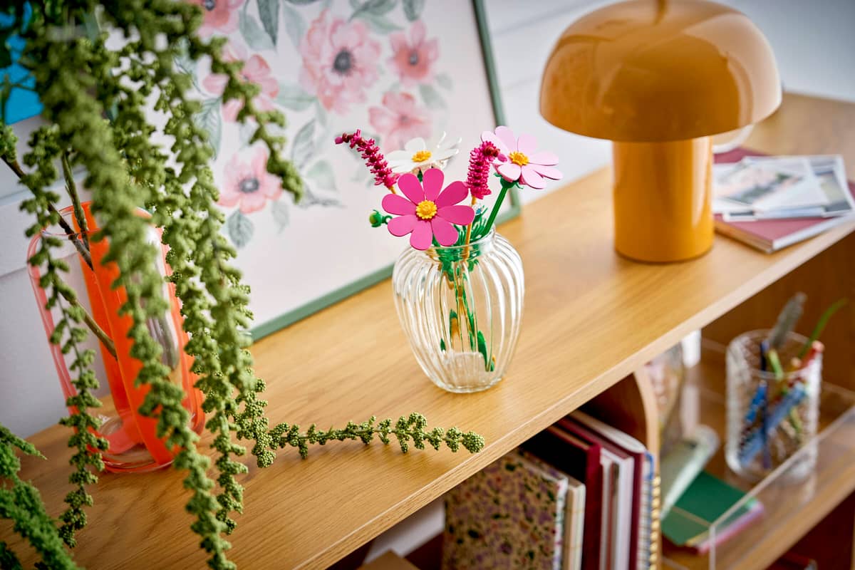 Cosmos Flowers