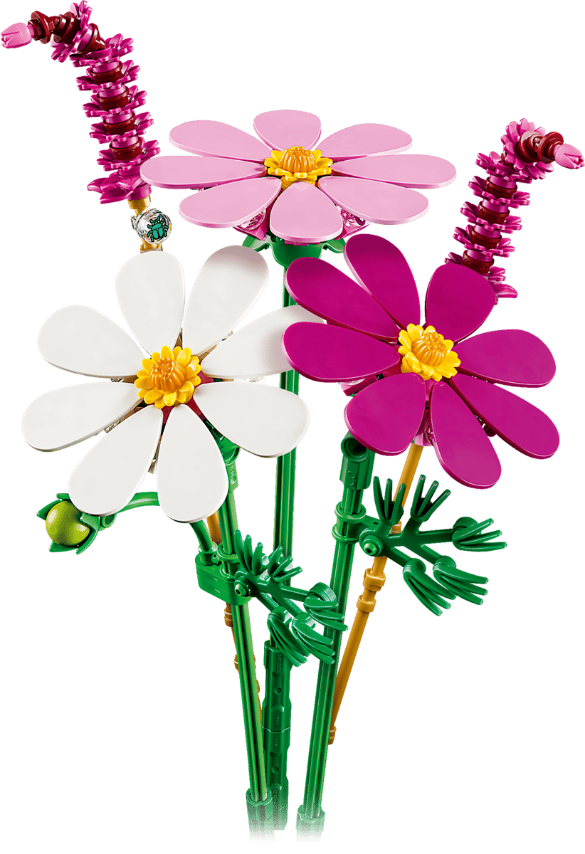 Cosmos Flowers
