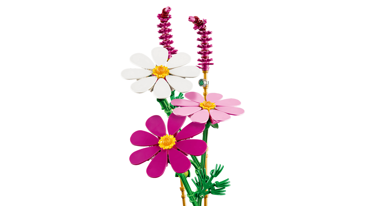 Cosmos Flowers