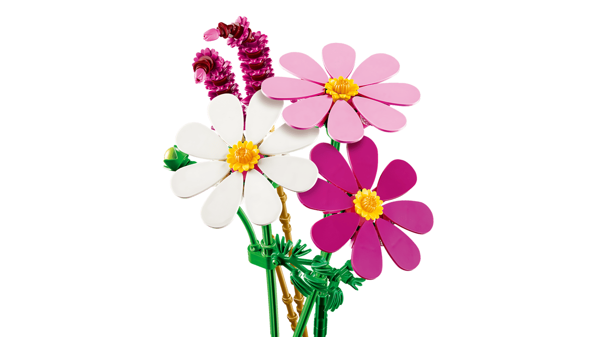 Cosmos Flowers