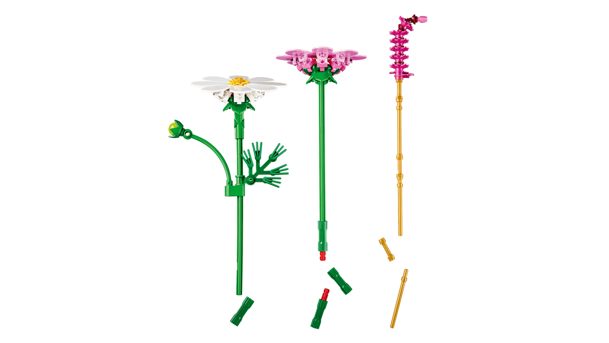 Cosmos Flowers