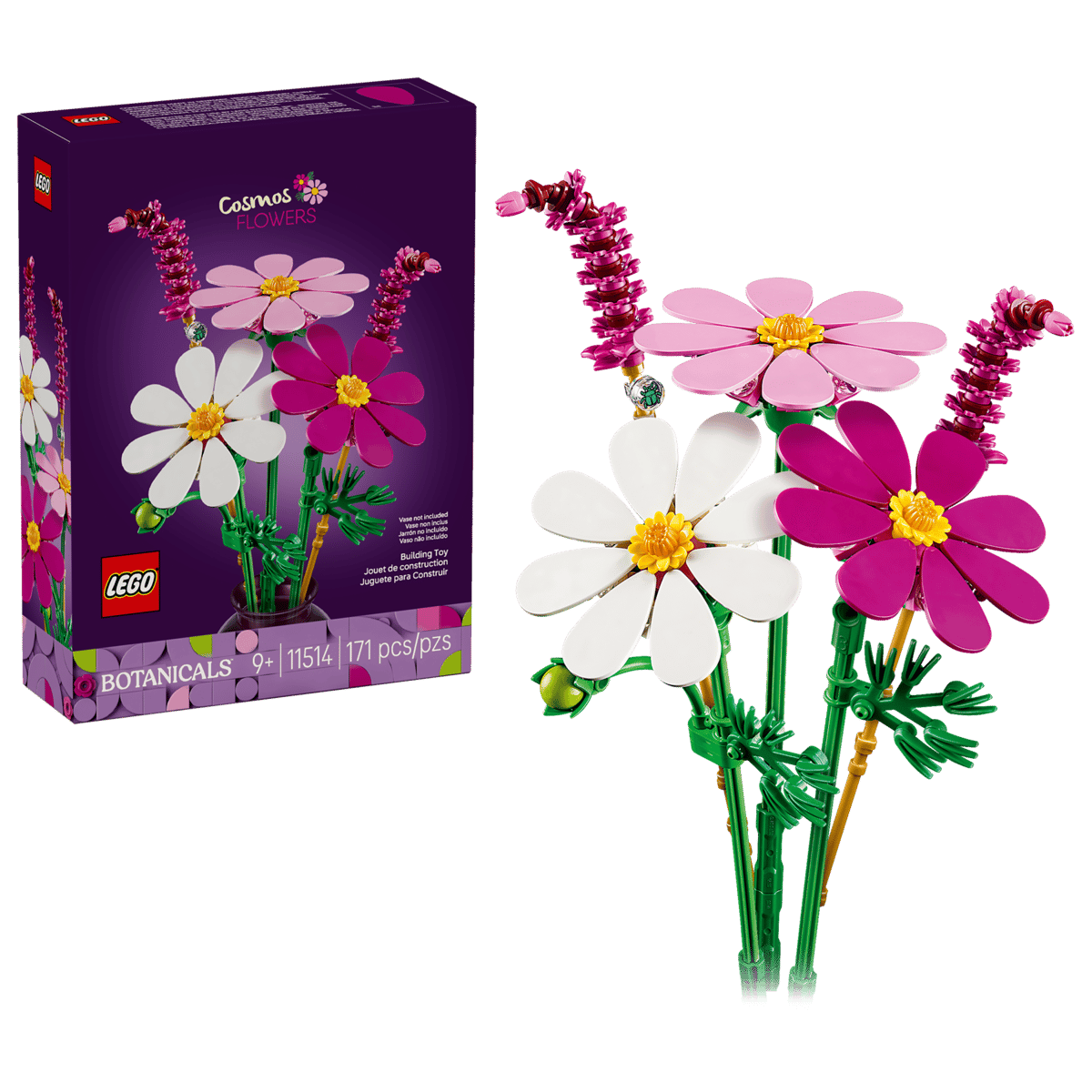 Cosmos Flowers