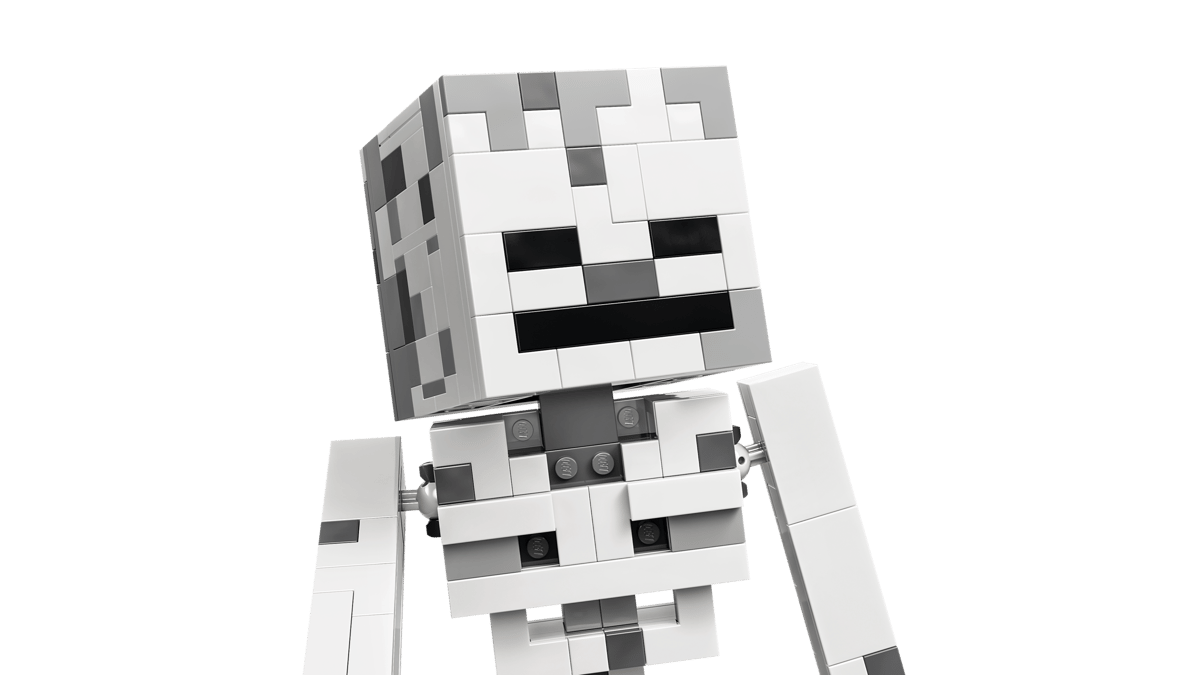 The Skeleton