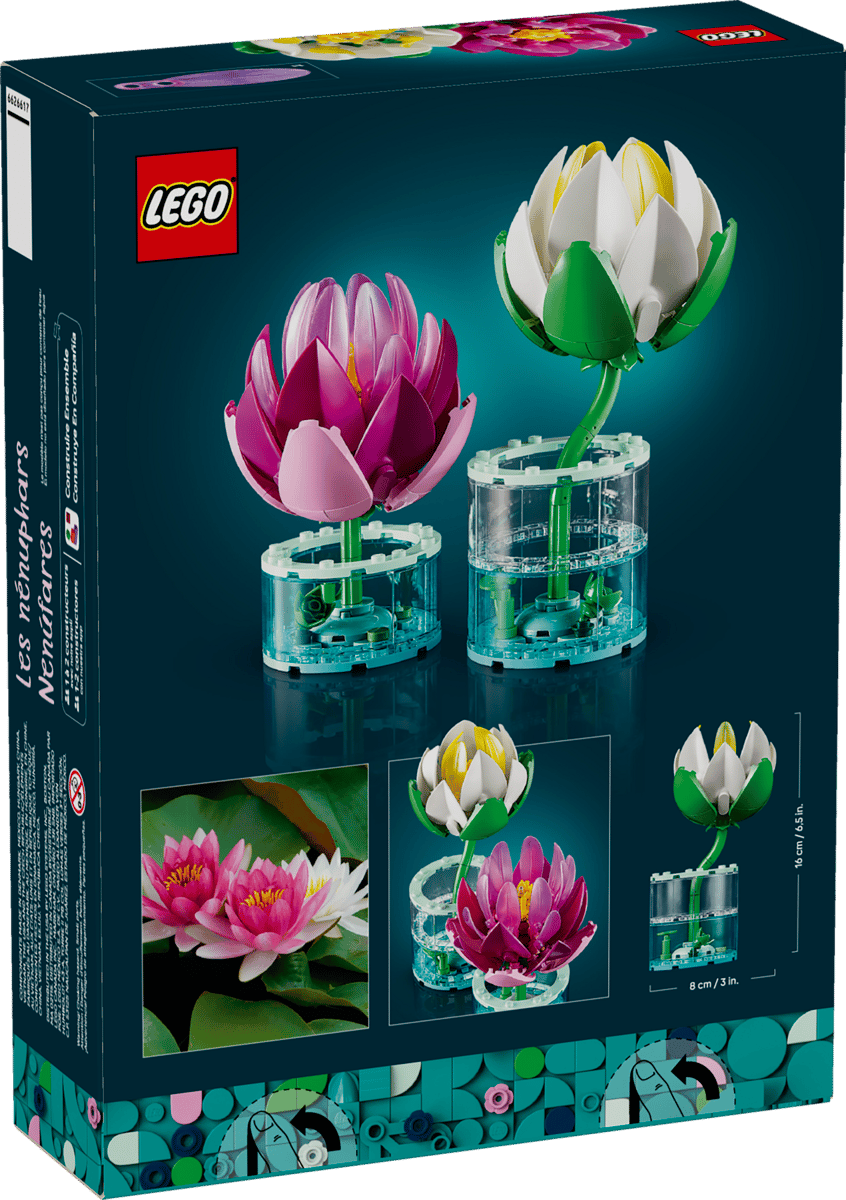 Water Lilies