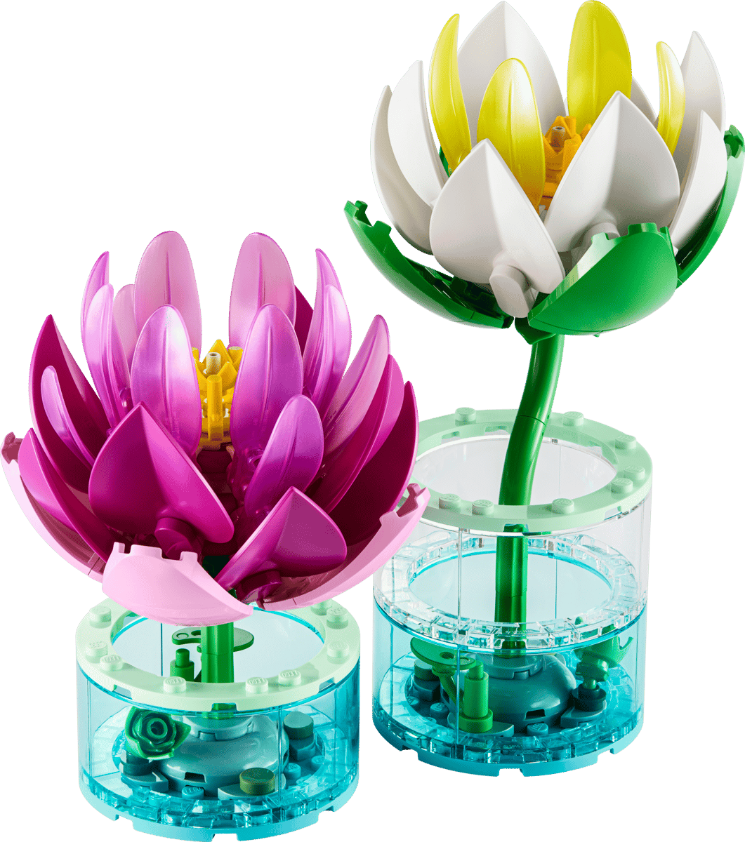Water Lilies